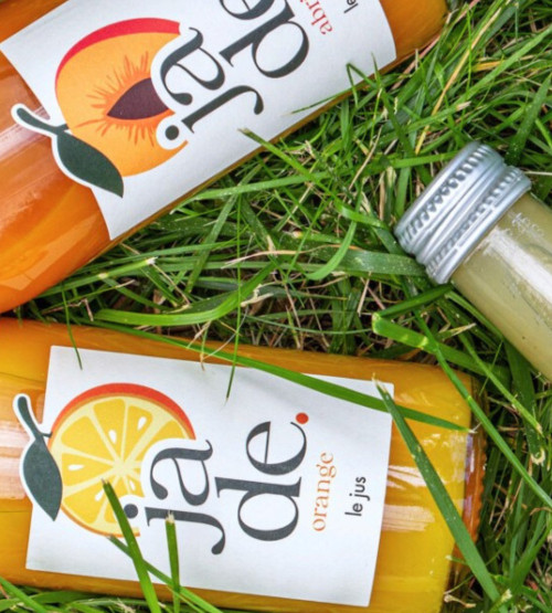 LES JUS DE FRUITS 25 CL