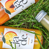 LES JUS DE FRUITS EN 100 CL