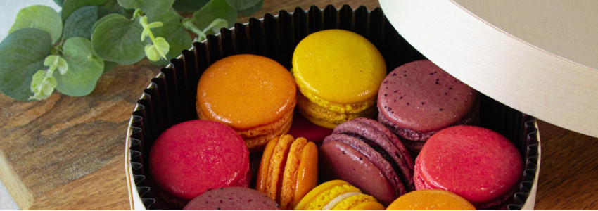 HAUT EN COULEURS