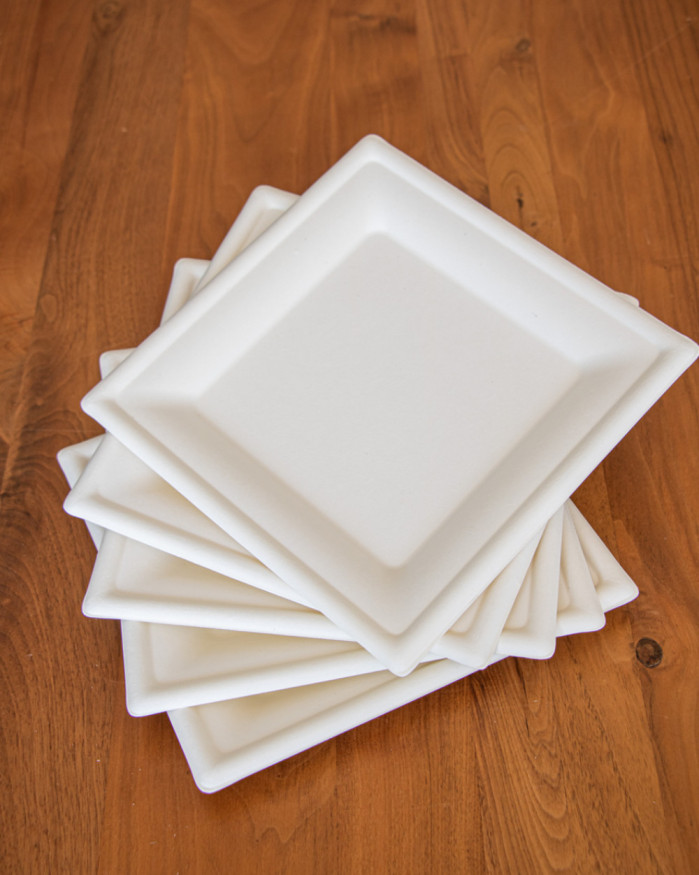 PETITES ASSIETTES EN PULPE DE CANNE (50 PIÈCES)