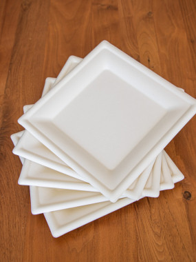 PETITES ASSIETTES EN PULPE DE CANNE (50 PIÈCES)